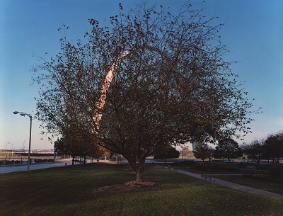 Joel Meyerowitz, 4th BetweenMarket and Chestnut,1978.jpg